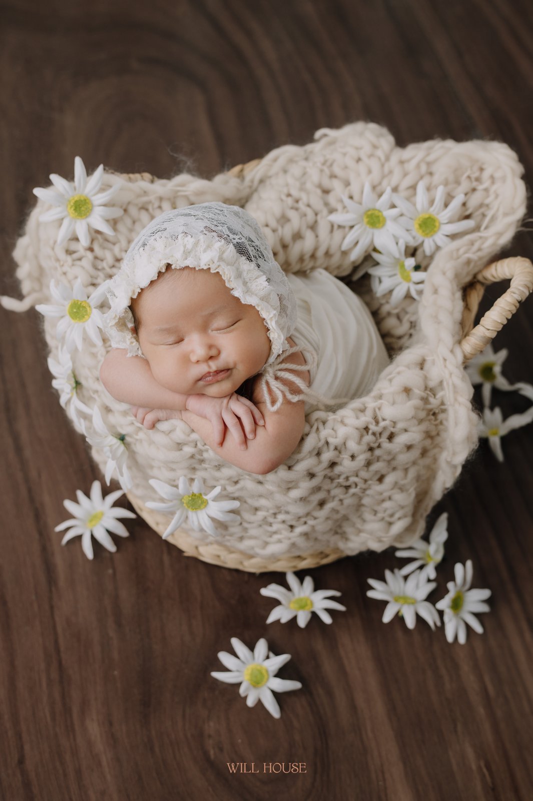 Bé sơ sinh nằm trong giỏ hoa cúc, chụp ảnh newborn tại Cần Thơ