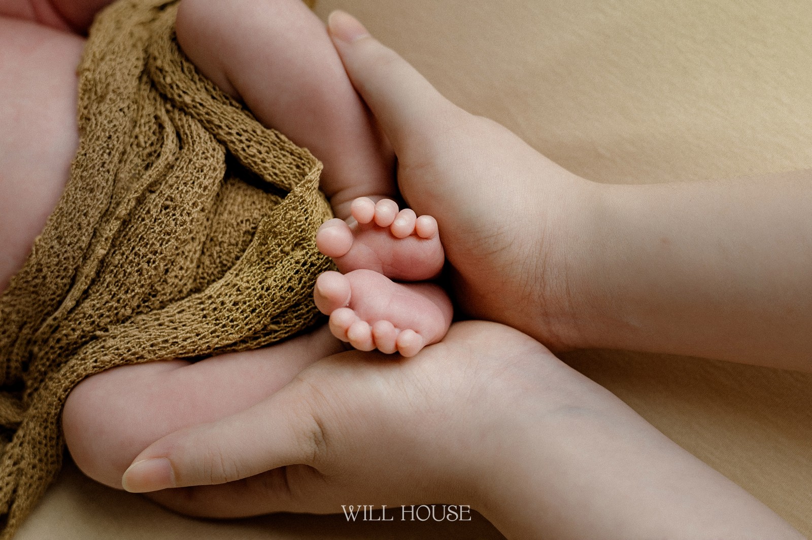 Đôi bàn chân bé được ba mẹ nâng niu trong lòng bàn tay